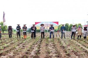 Polres Kuningan Tanam Jagung Serentak di 27 Lokasi 